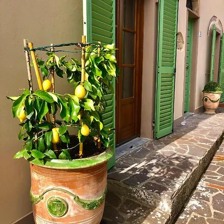 Casa Loumavi * Selvatelle